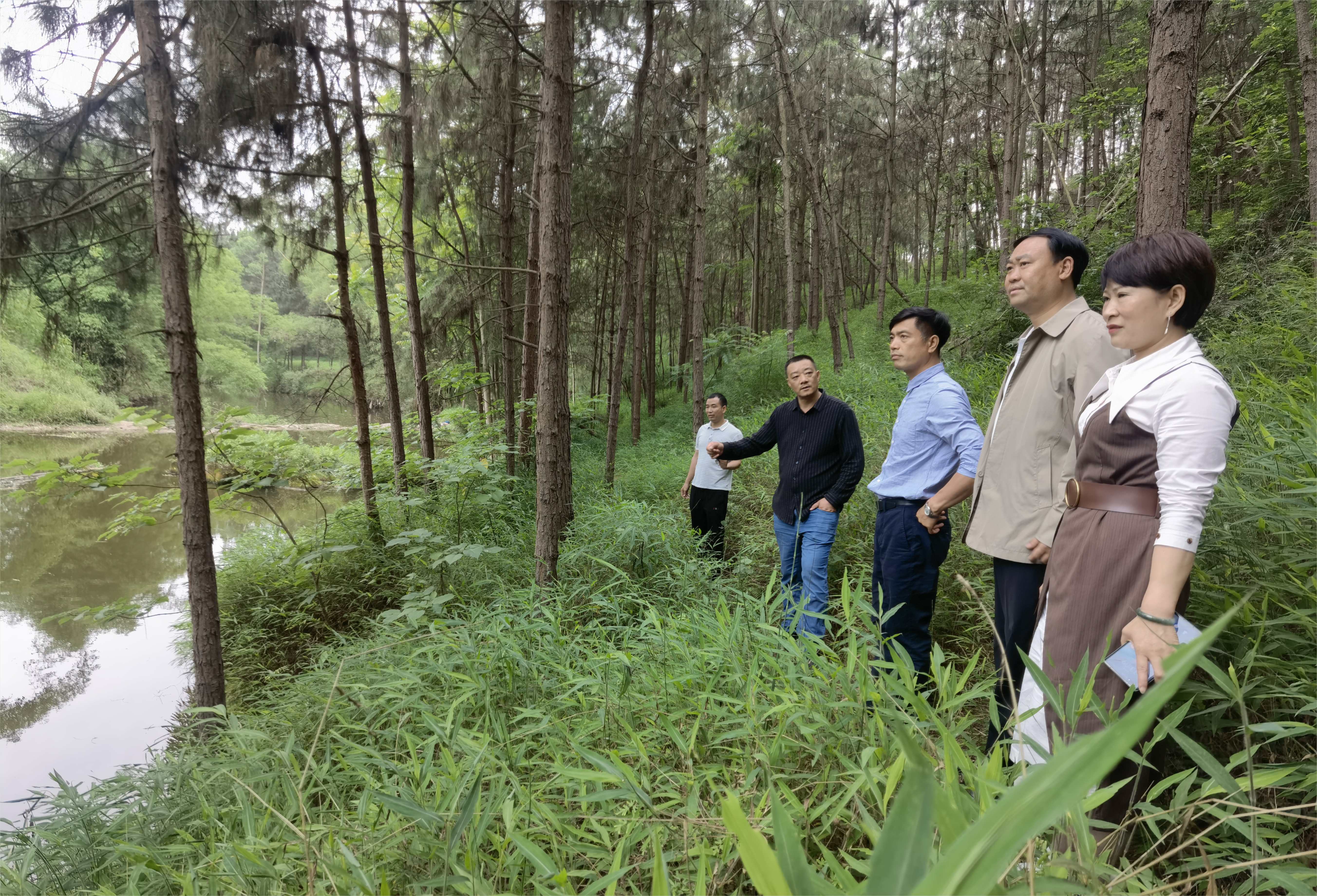 临港经开区管委会副主任谢光永深入街道调研督导信访稳定河长制工作